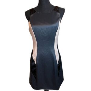 All Saints Bodycon Spitalfields Bodycon Silky Japanese Cloth (8)